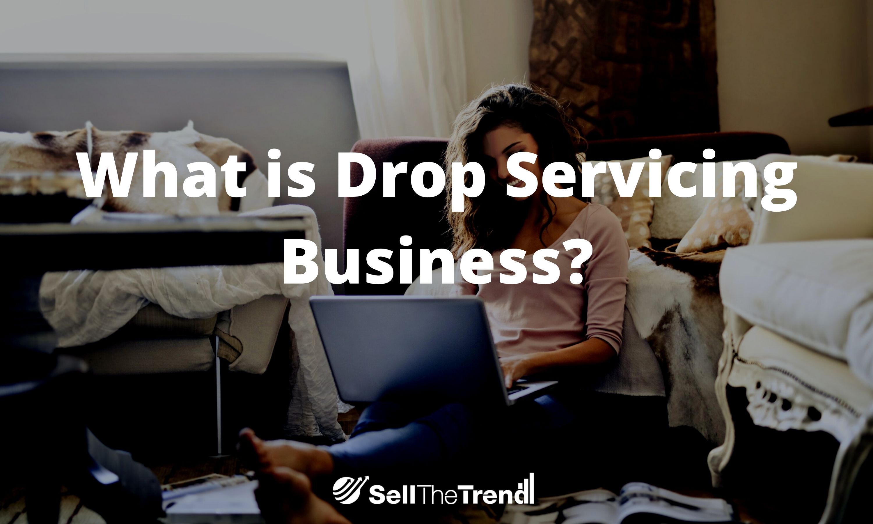 What is drop servicing business?